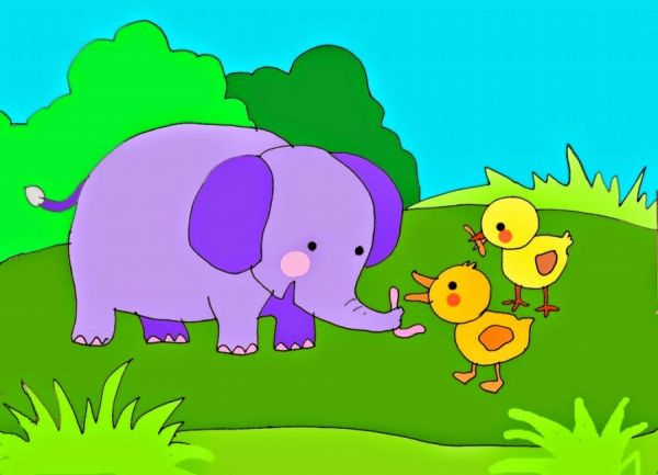 Nhấn vào ảnh để phóng to