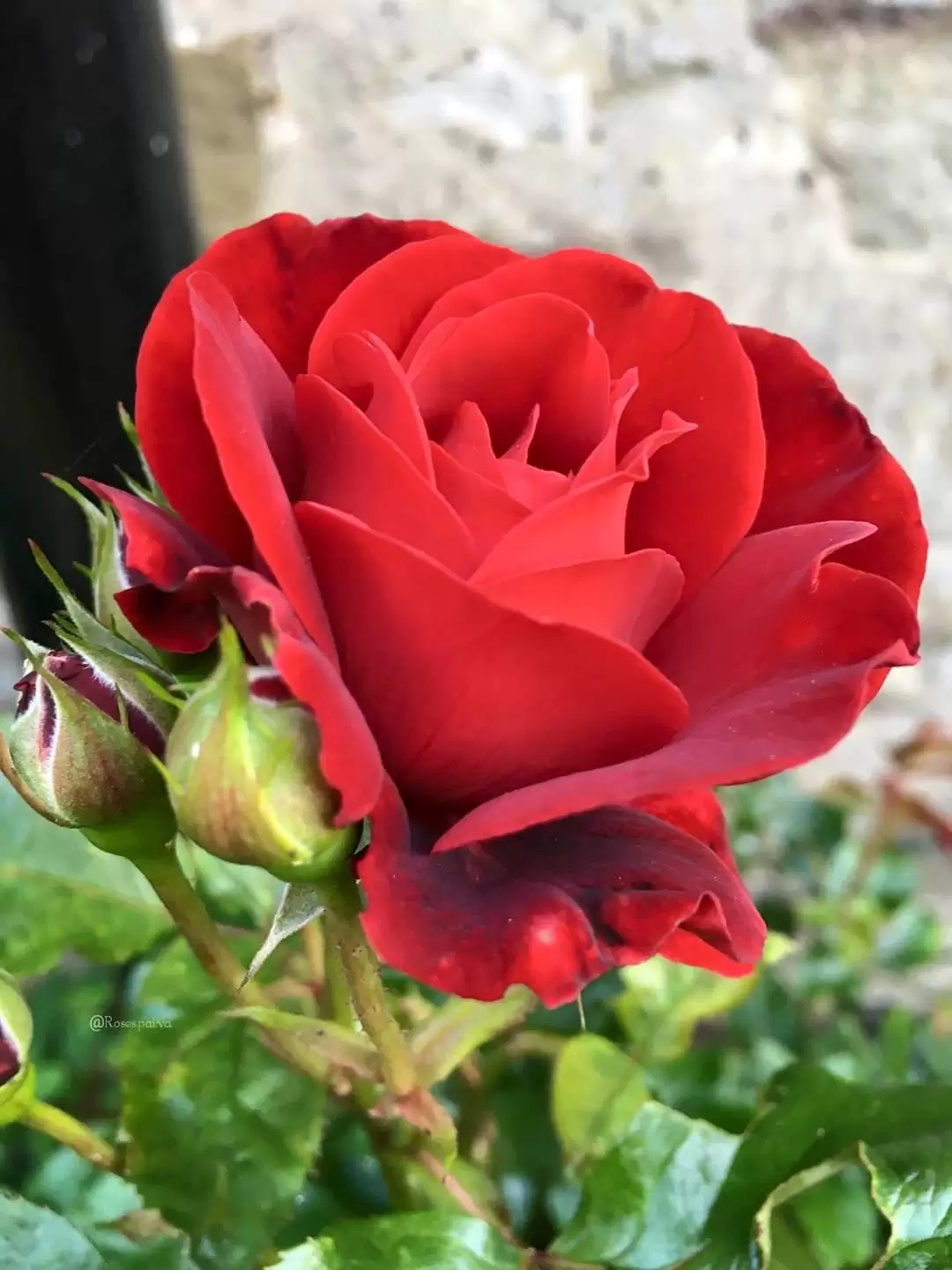 CHUYỆN HAI NGƯỜI