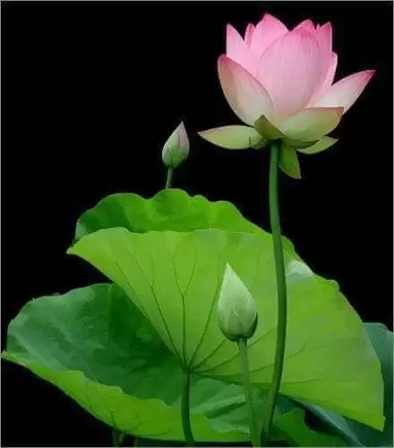 VIẾT CHO BẢN THÂN!