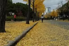 Có nhau trong đời