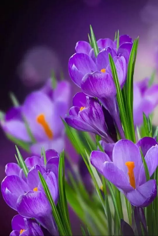 EM VẪN MỘT MÌNH