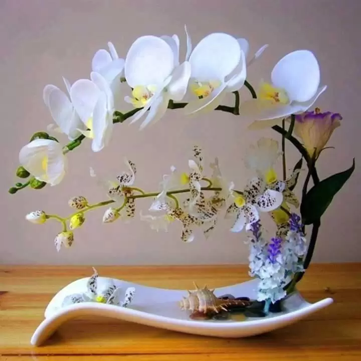 EM XOÁ RỒI SAO SÓT LẠI CHỮ THƯƠNG