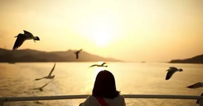 Bồi hồi thức giấc