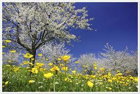 Này em Xuân có vội?