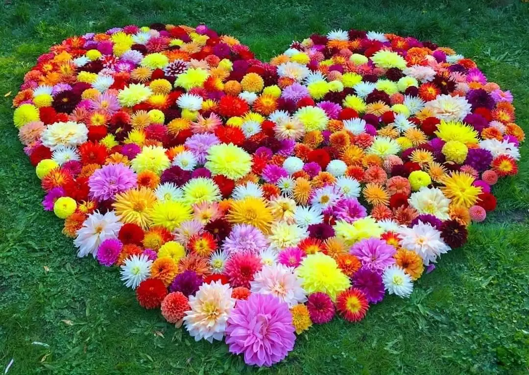 MỘT ĐỜI TRI KỶ