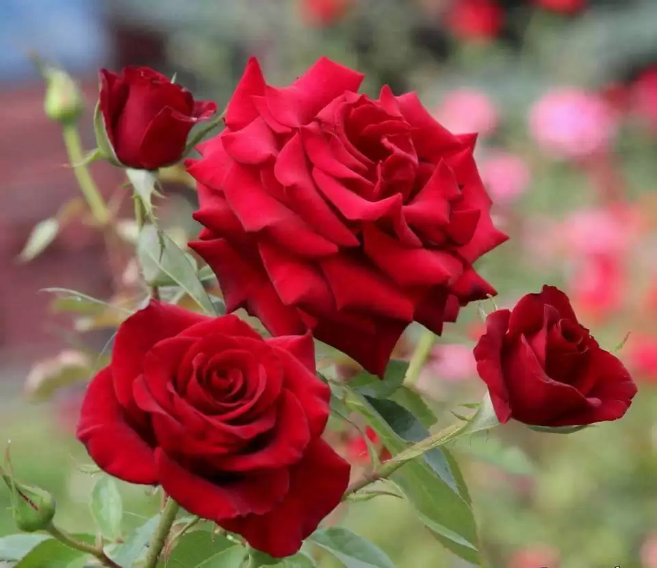 GẶP NHAU RỒI ĐỪNG XA NHÉ ANH ƠI!