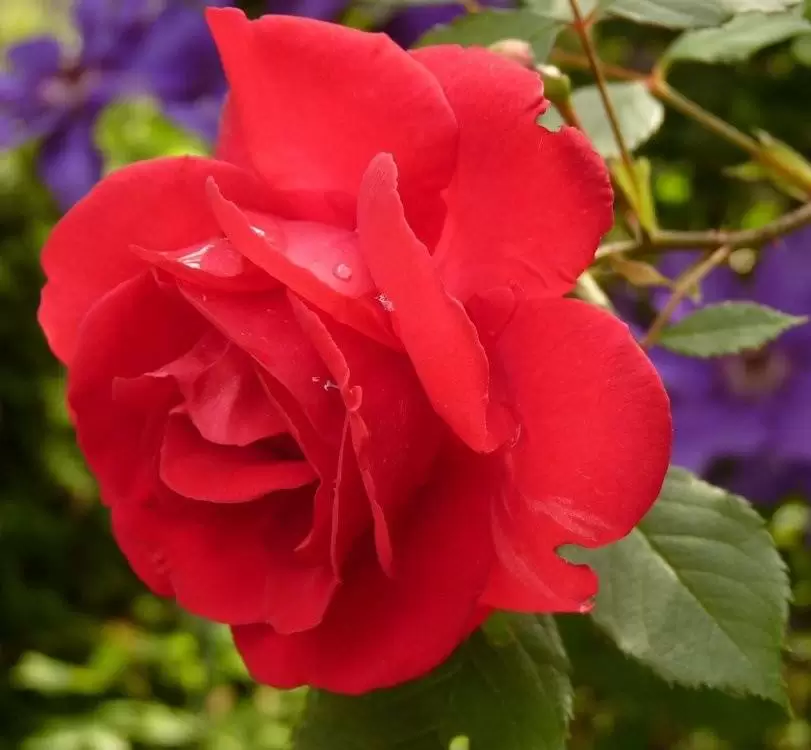 NỢ NHAU LỜI CHIA TAY