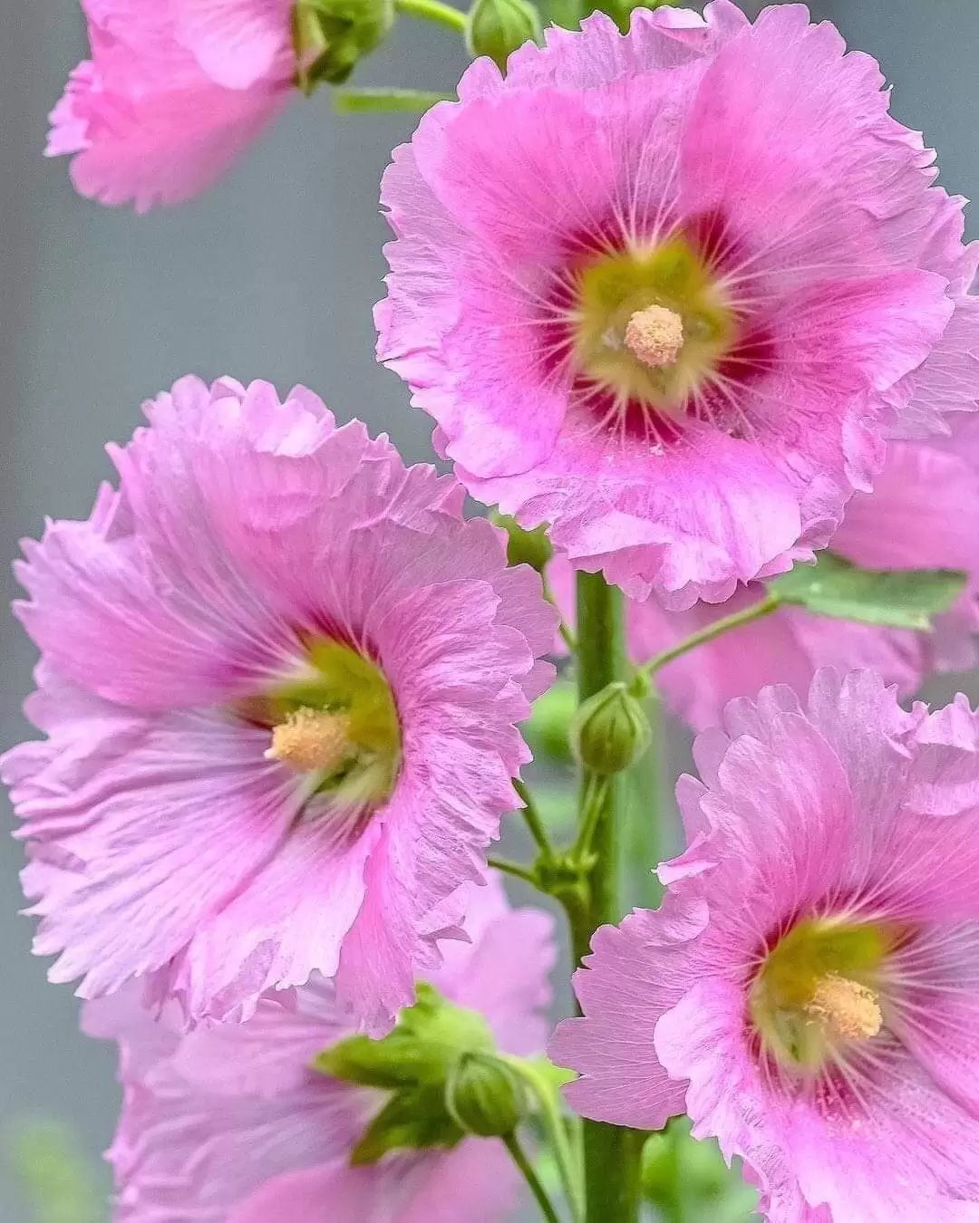 KHI ĐỨNG CẠNH MỘT NGƯỜI VẪN THẤY CÔ ĐƠN