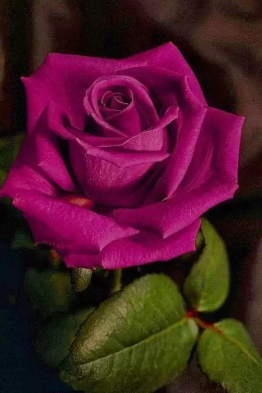 VIẾT CHO EM TRÊN BƯỚC ĐƯỜNG TUỔI TRẺ