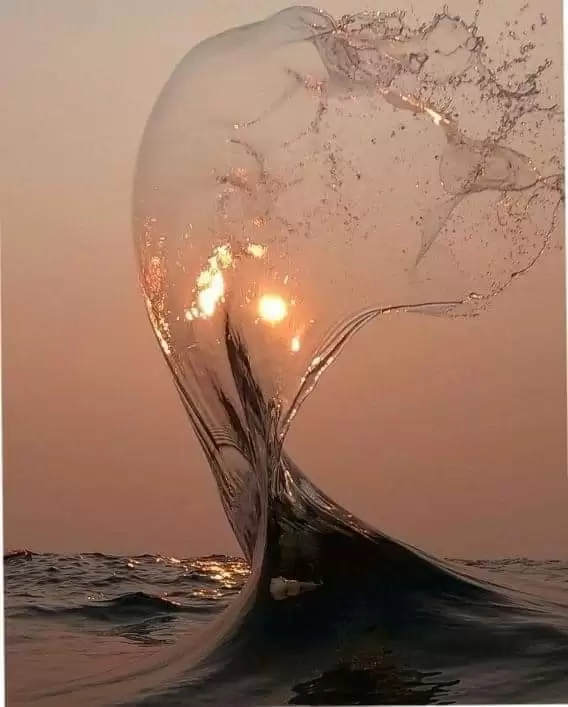 NỖI NHỚ CHƠI VƠI