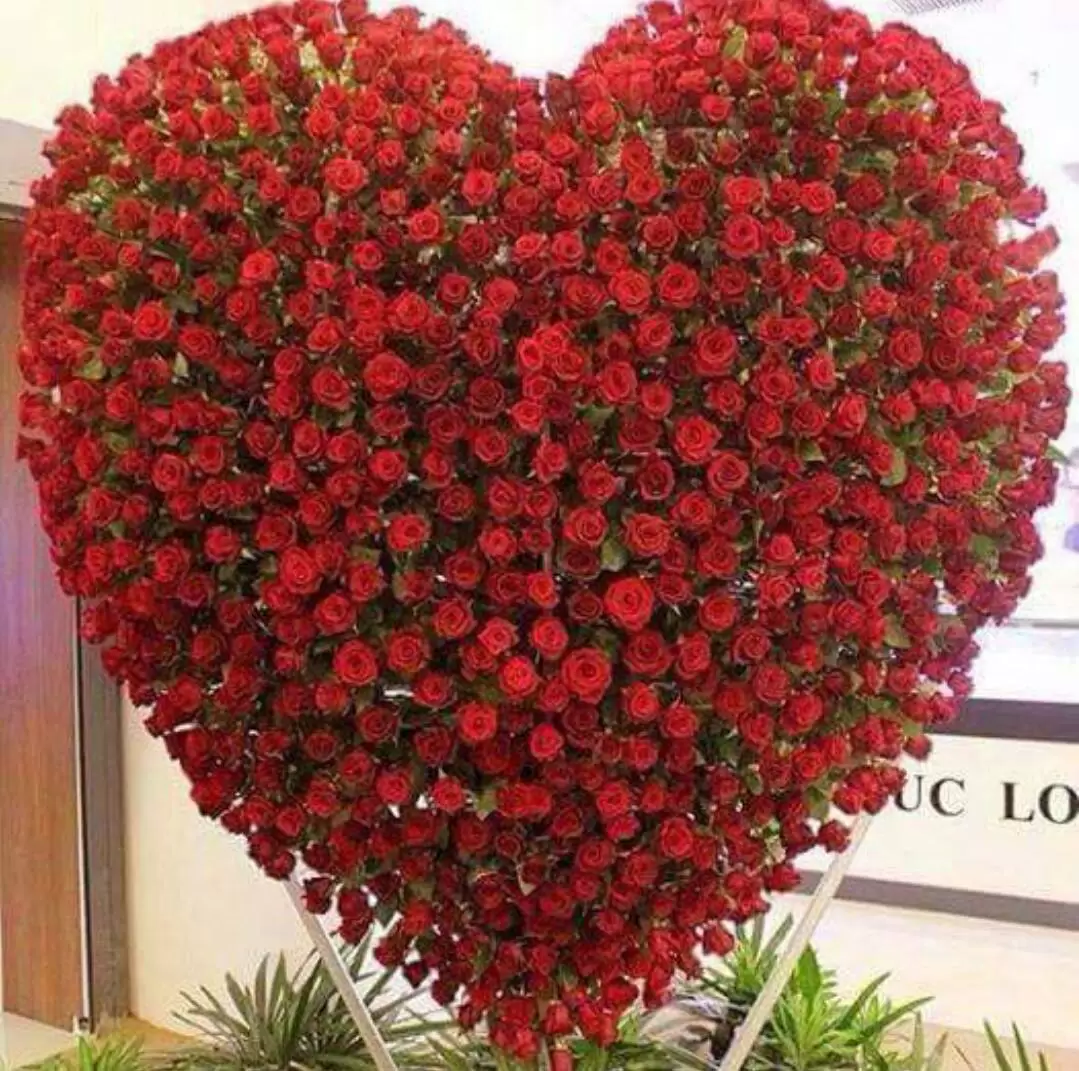 MỘT NỬA TRÁI TIM