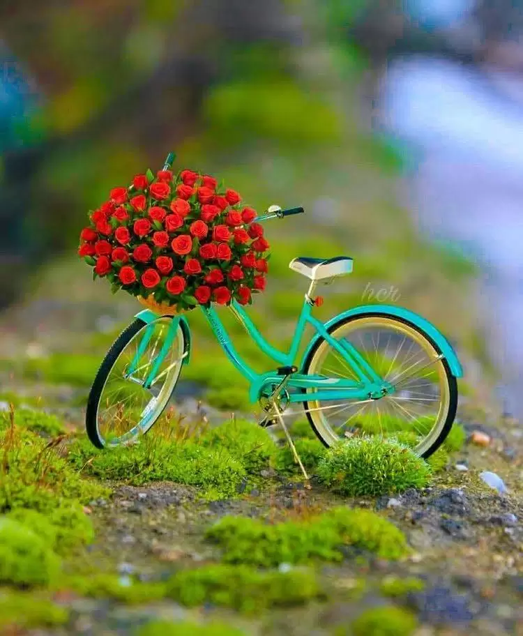 PHỐ VẮNG ANH RỒI