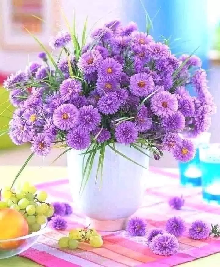 HÒ HẸN MÃI CUỐI CÙNG EM CŨNG ĐẾN