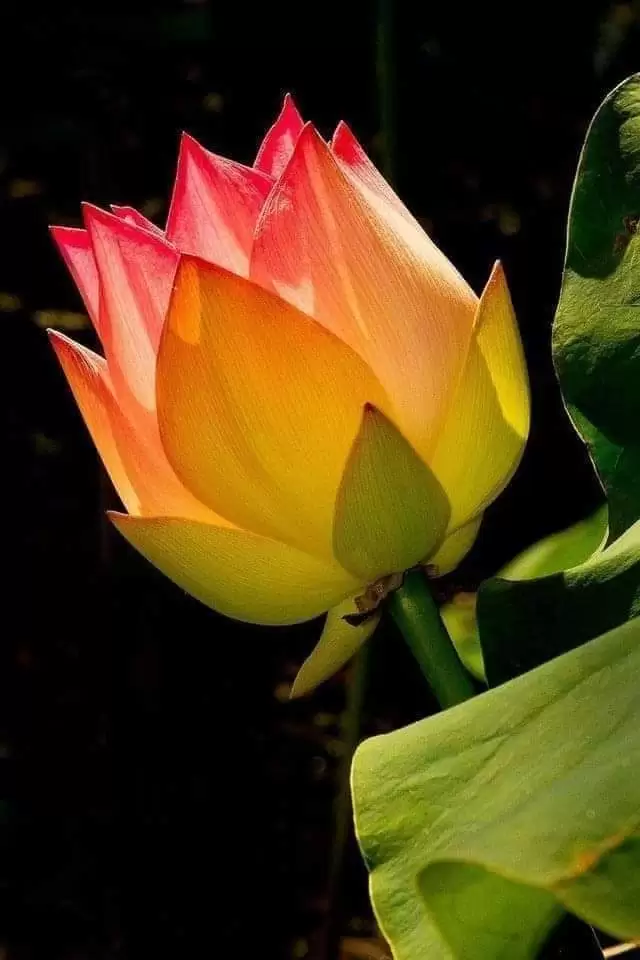 RỒI CHÚNG MÌNH CÁCH XA