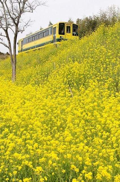 CHỈ CÒN THU Ở LẠI