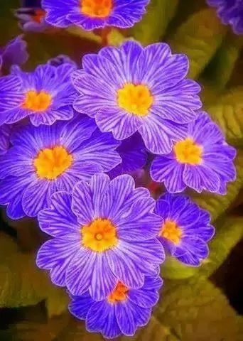 ĐỜI NGƯỜI NGẮN LẮM