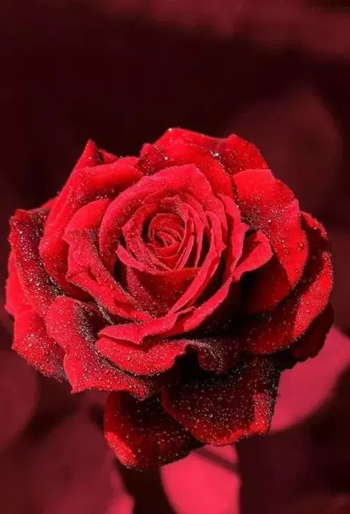 EM BIẾT NHỚ HAY CHƯA ?