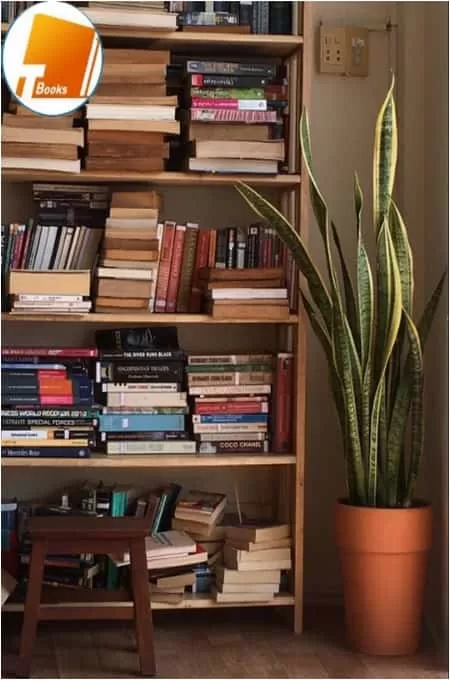 Thư viện sách PDF: Một nguồn tài liệu vô tận