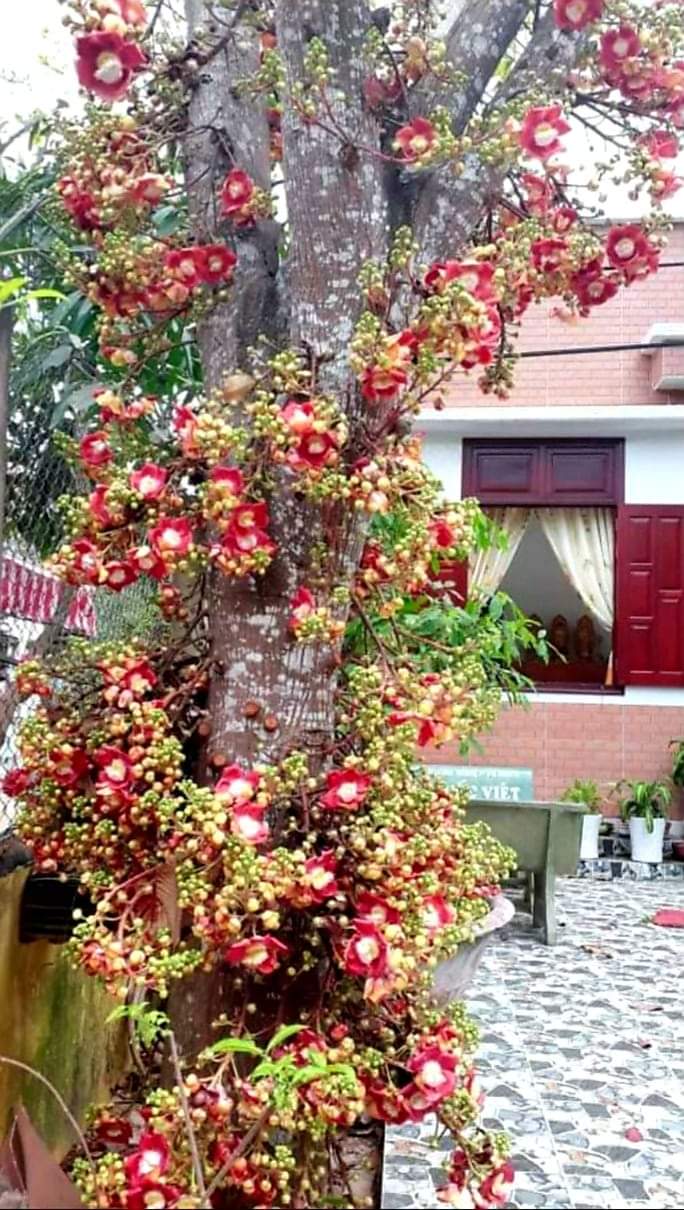 ĐỪNG HỎI VÌ SAO