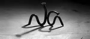 ĐI QUA MÙA BIỂN ĐỘNG