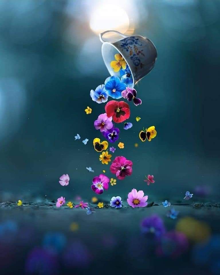 VỜ KHÔNG NHỚ HAY CÓ THỂ QUÊN…