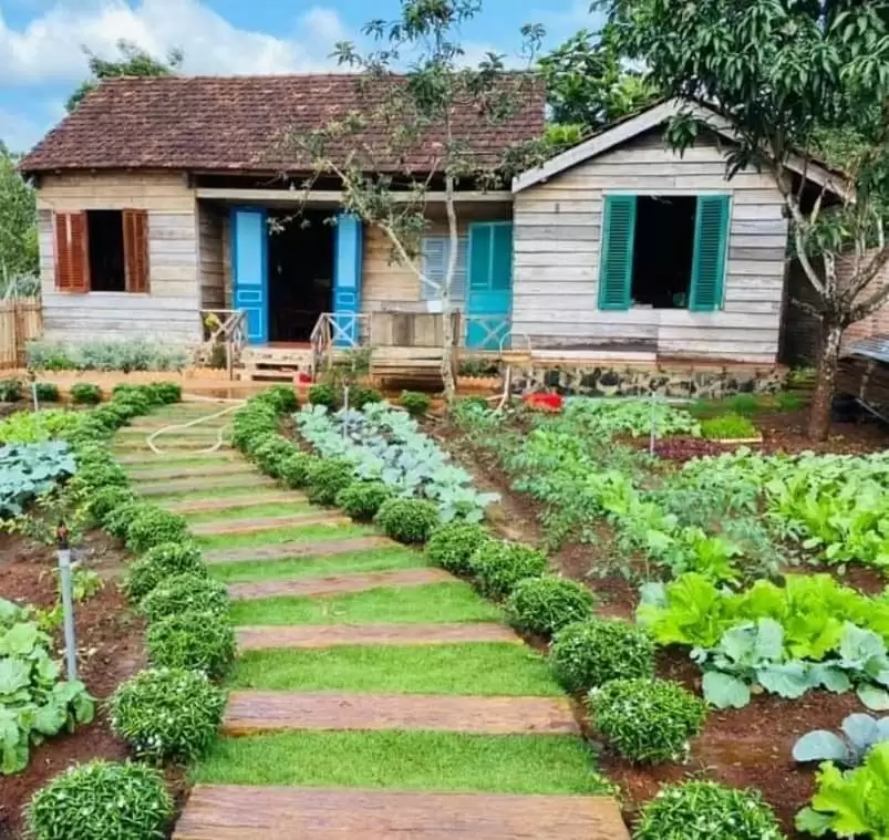 MƠ ƯỚC NHỮNG NGÀY CUỐI ĐỜI AN NHIÊN