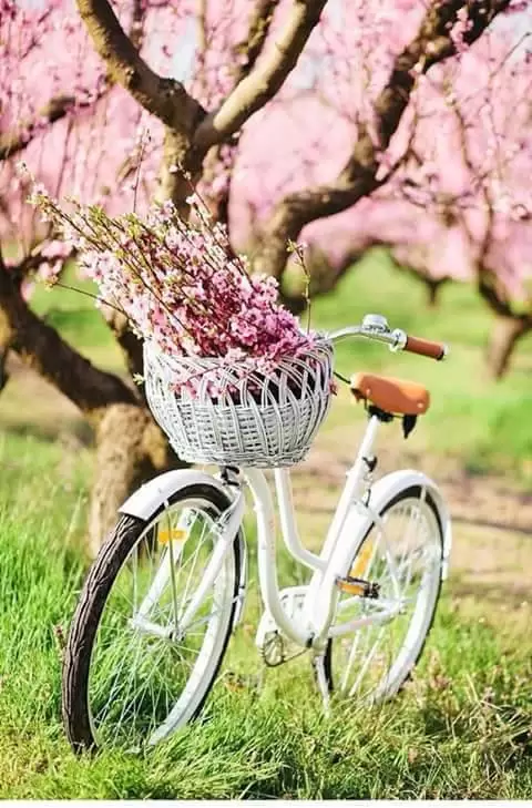 LƯNG CHỪNG CON DỐC