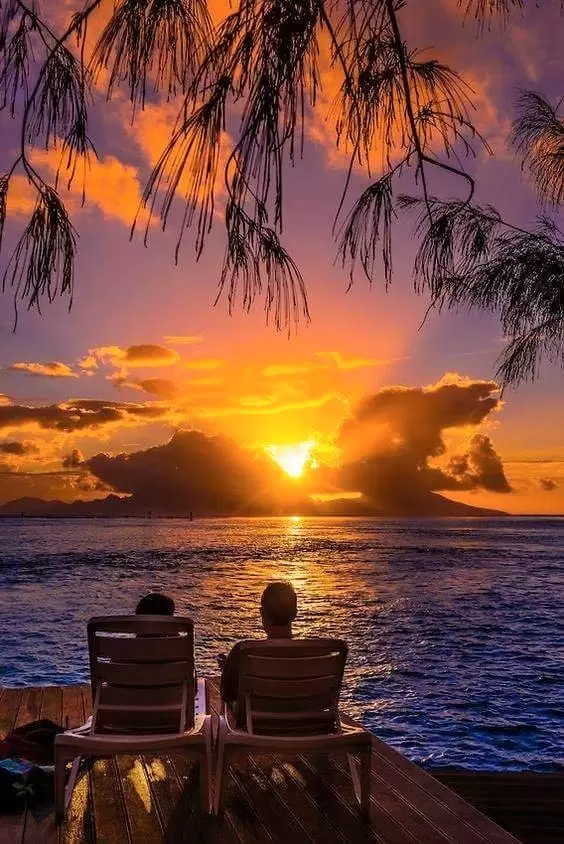 VỀ VỚI BIỂN CÙNG ANH