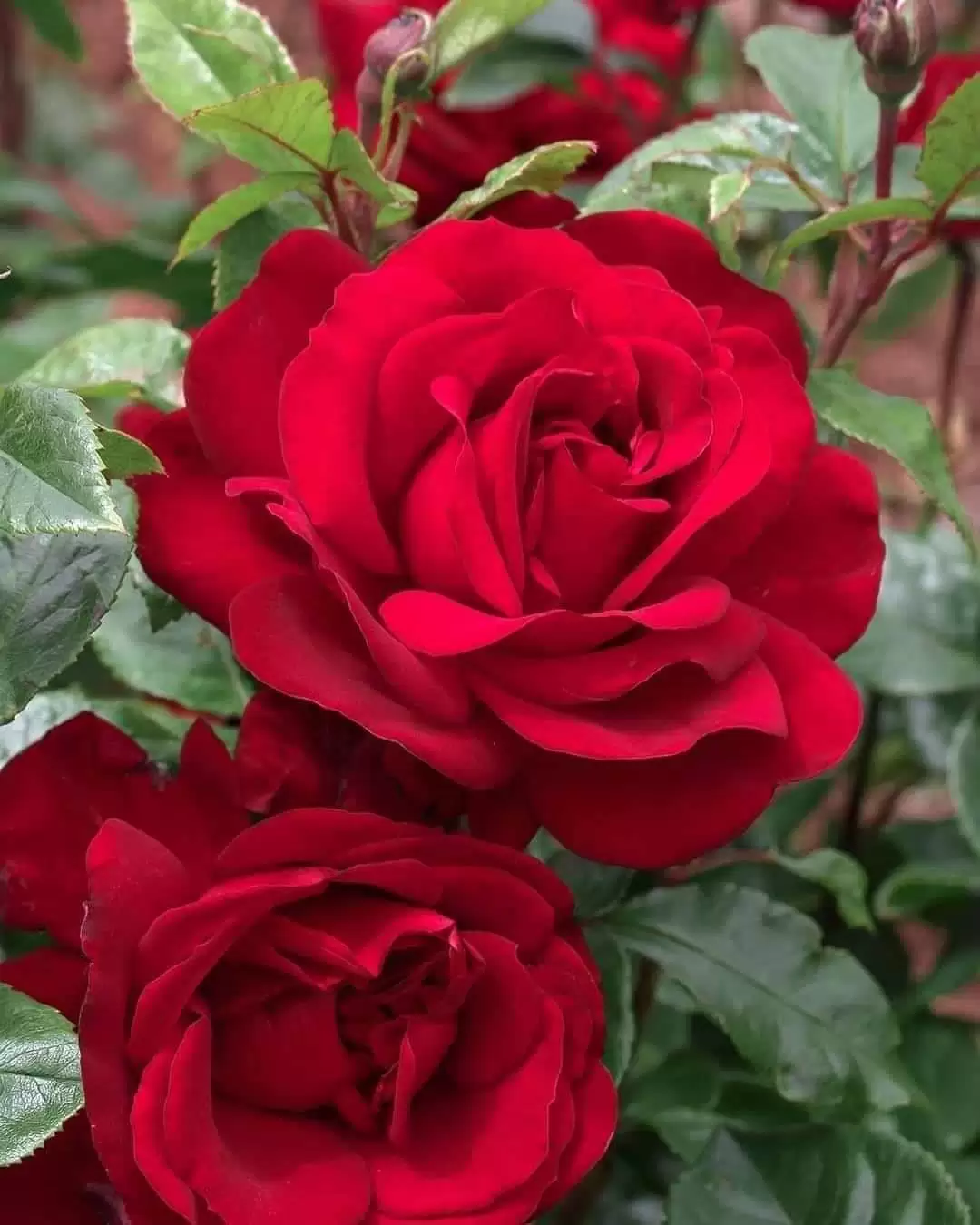 HỎI CÓ CÒN VỊ TRÍ CỦA RIÊNG EM