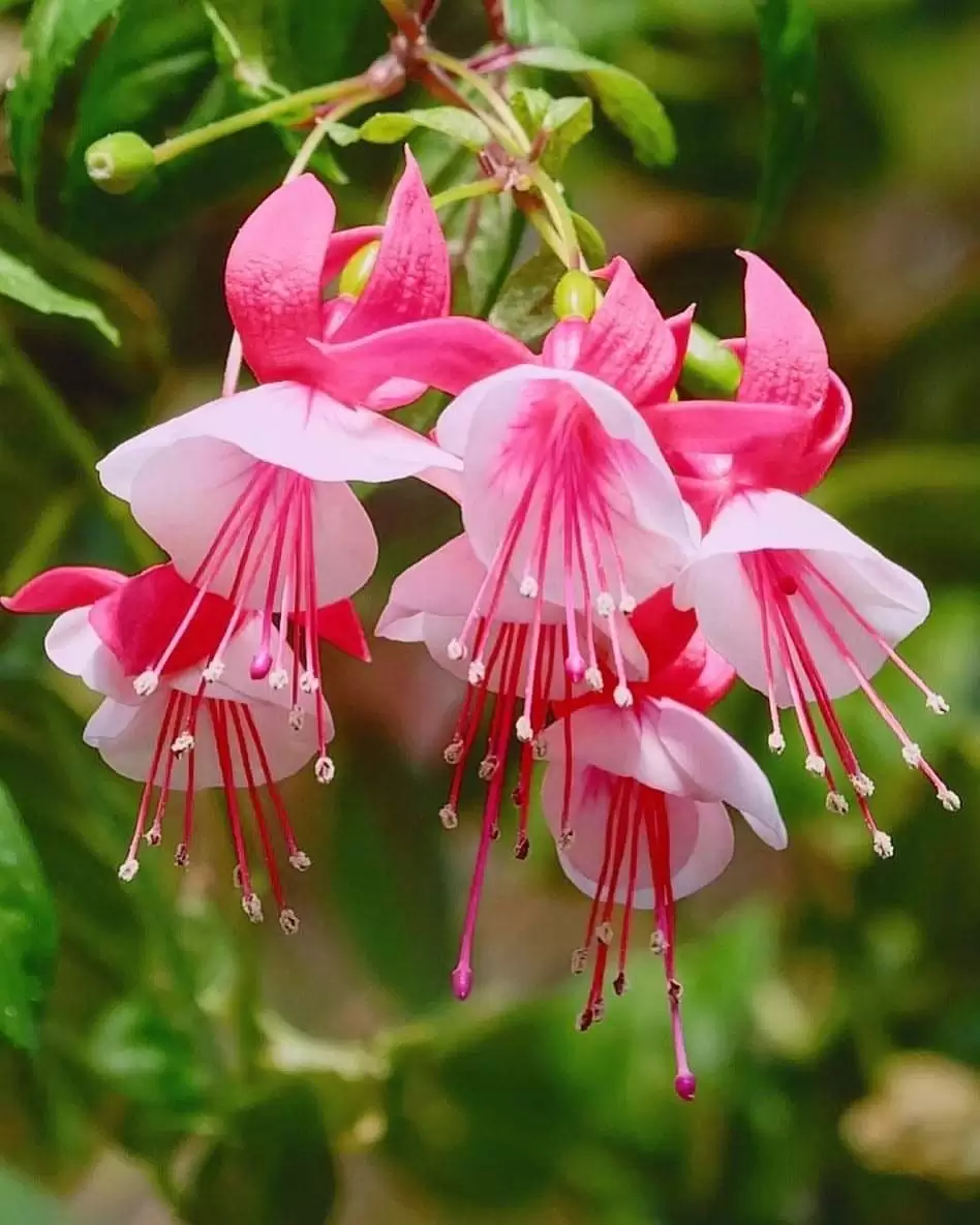 VỘI VÀNG LƯỚT QUA NHAU