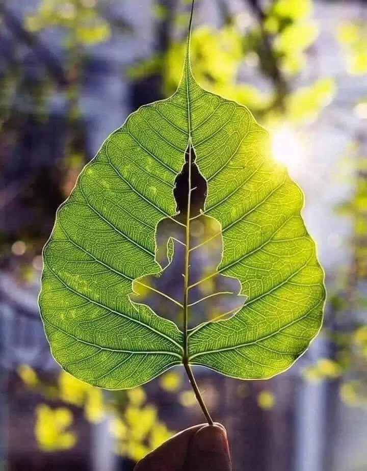 TRÁI TIM LƯƠNG THIỆN