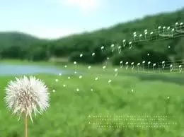 CHÚT DỊU DÀNG CHO EM