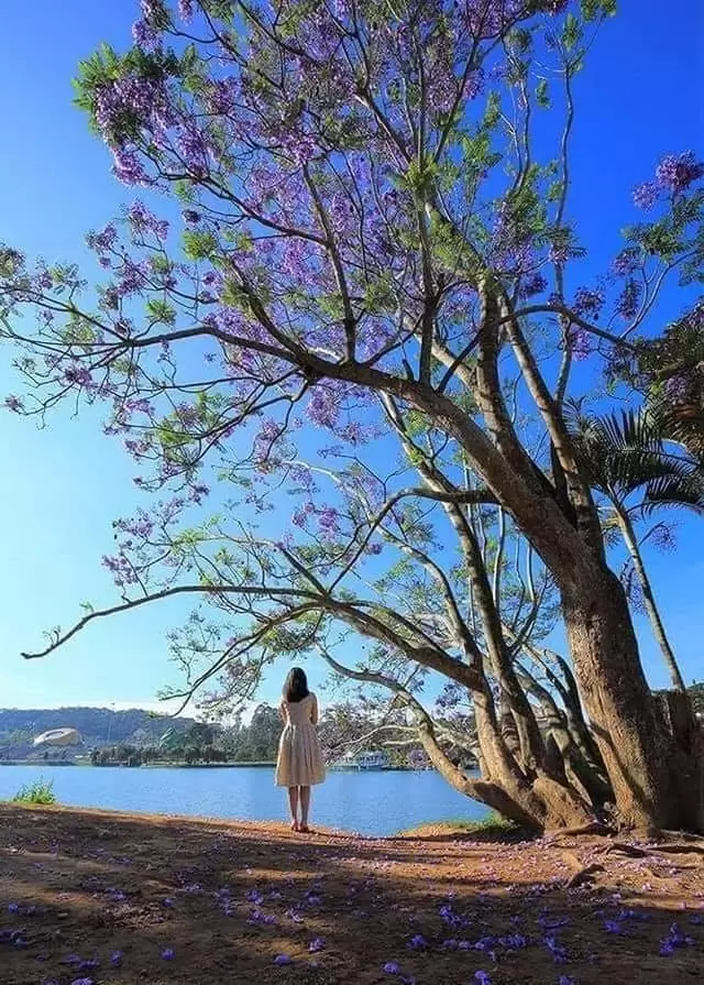 VẪN MÃI BÊN NGƯỜI