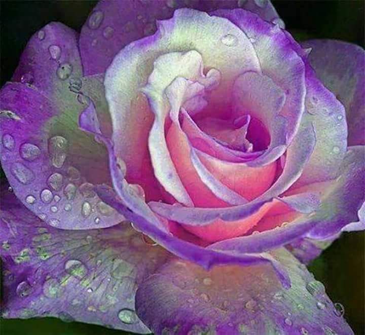 TÌM NGƯỜI NƠI ĐÂU