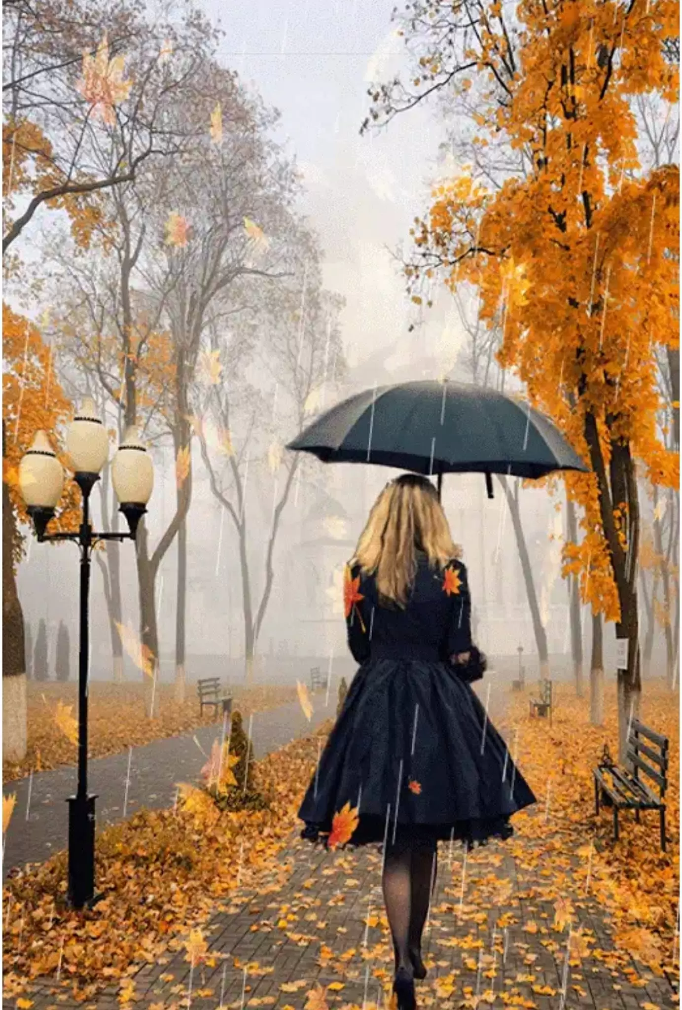 NỖI NHỚ CHIỀU MƯA THU