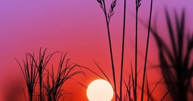 ƯỚC GÌ NGÀY THÁNG BÌNH YÊN