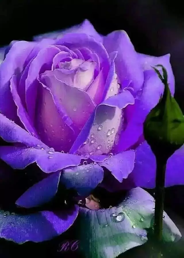 HẸN TƯƠNG PHÙNG