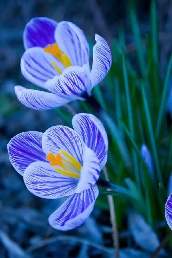 MÌNH ĐÃ XA NHAU…