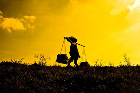 VỌNG VỀ LỜI RU