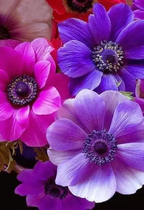 GẶP ĐƯỢC NHAU NỮA KHÔNG