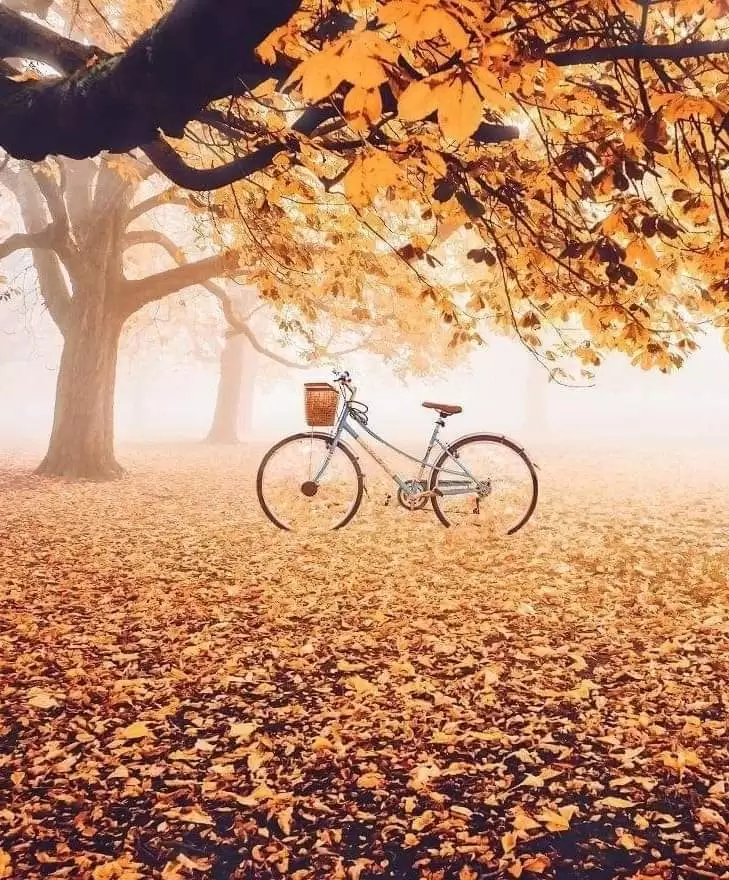 THÁNG MƯỜI HAI BUỒN TRONG TÊ TÁI XÓT XA