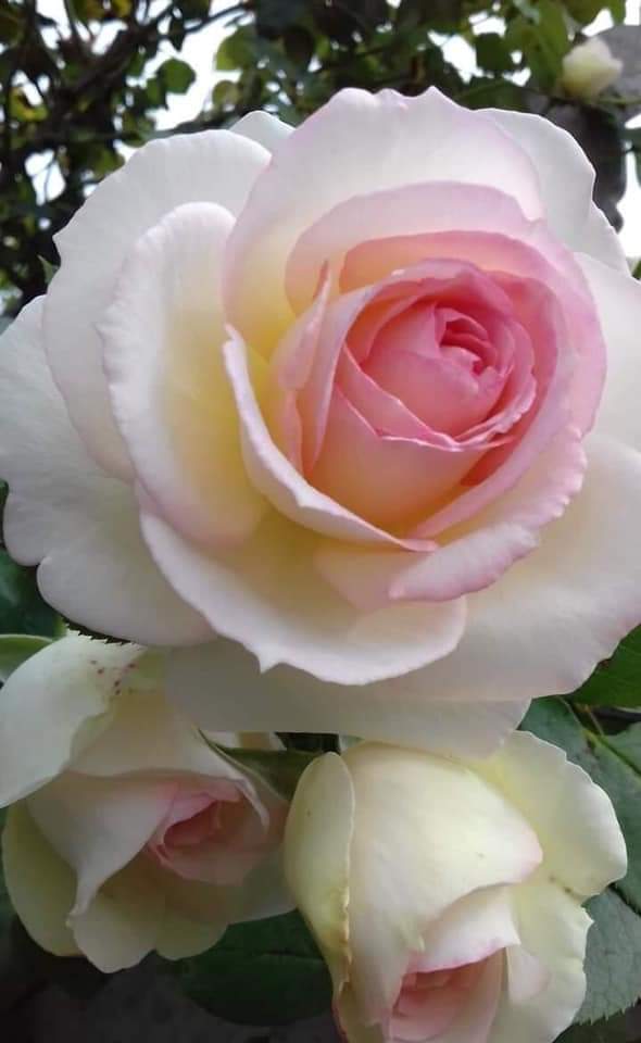 MUỐN GÌ PHẢI NÓI