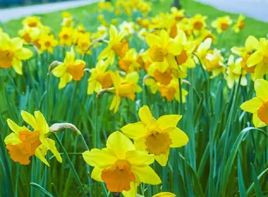 THIÊN – ĐỊA CHI DU DU