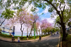 Thương nhớ tháng ba