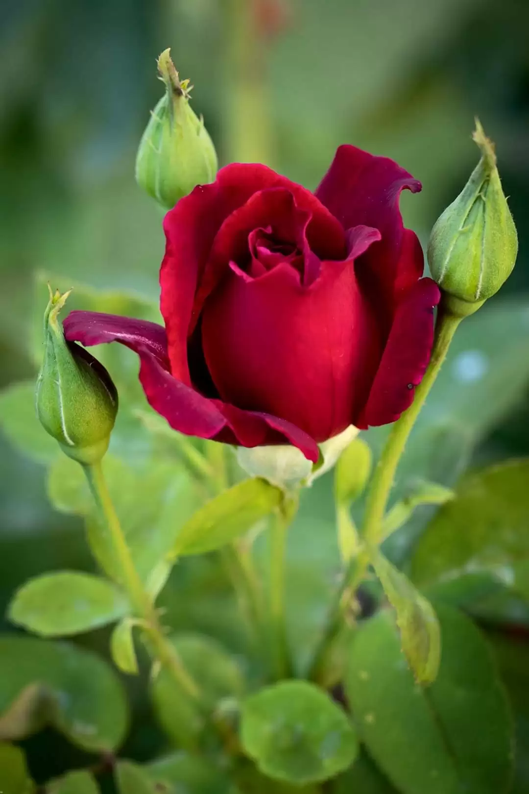 HẸN NHAU Ở CUỘC ĐỜI KHÁC