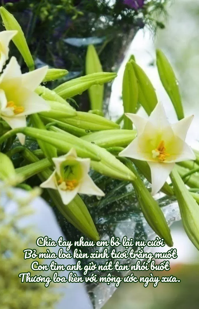 EM VÀ HOA LOA KÈN THÁNG TƯ