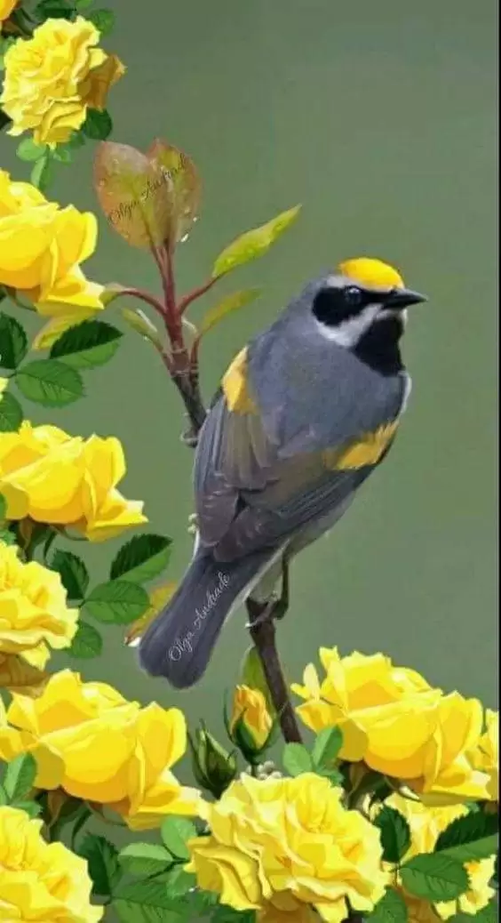 NGƯỜI ĐÃ TỪNG THƯƠNG