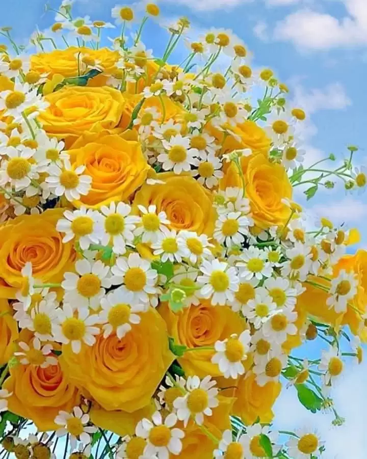 VIẾT CHO TUỔI 40