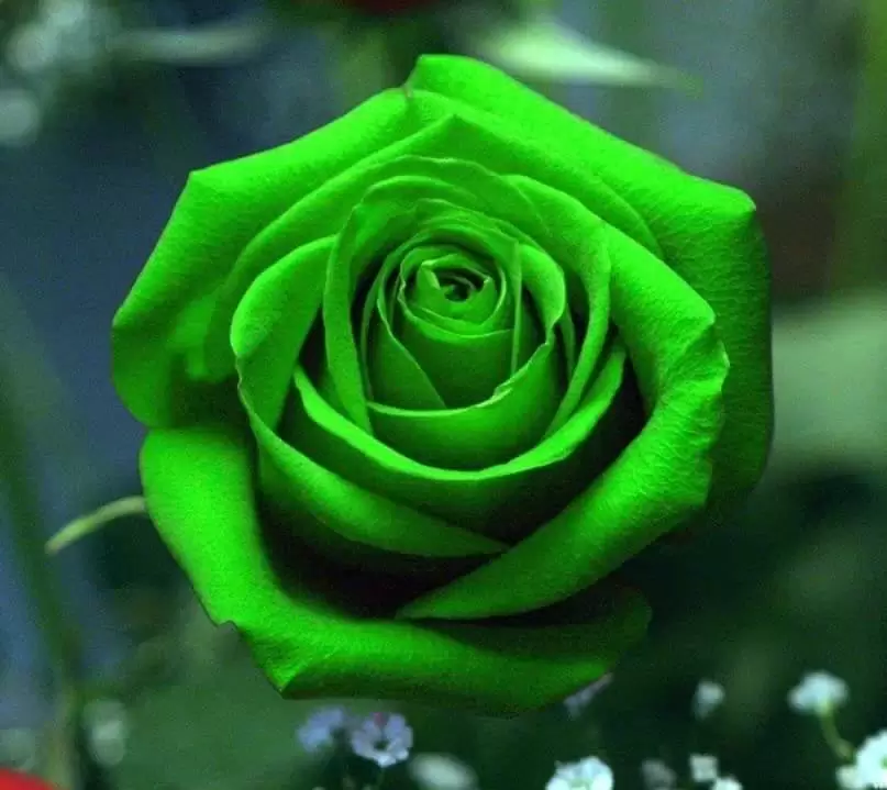 ĐỪNG GỌI EM LÀ ĐÀN BÀ CŨ