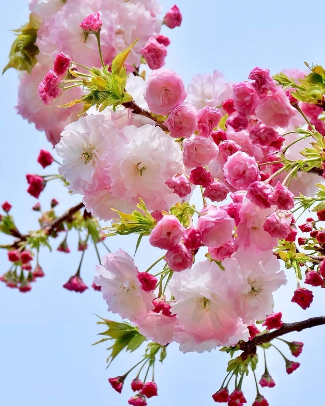 TỰ YÊU LẤY MÌNH, ĐỪNG THƯƠNG NHỚ THÊM AI